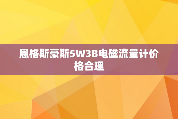 恩格斯豪斯5W3B电磁流量计价格合理