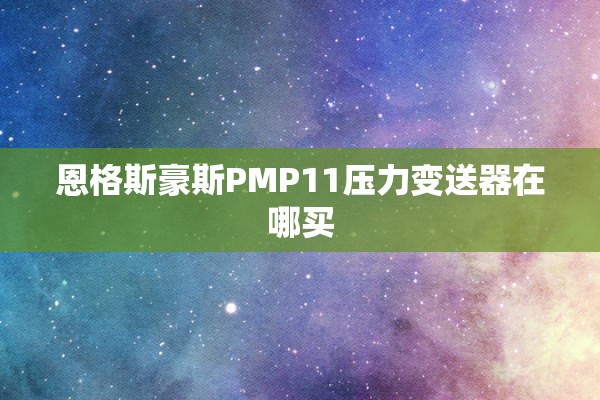 恩格斯豪斯PMP11压力变送器在哪买