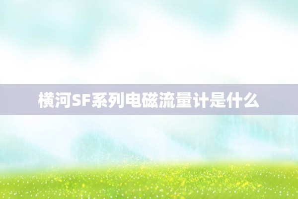 横河SF系列电磁流量计是什么