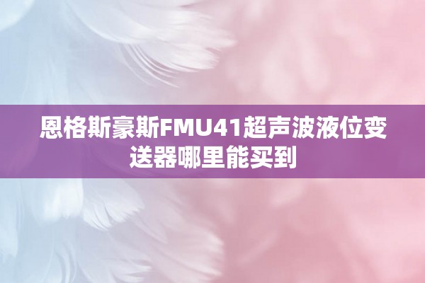 恩格斯豪斯FMU41超声波液位变送器哪里能买到