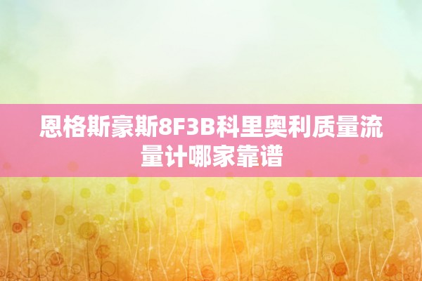 恩格斯豪斯8F3B科里奥利质量流量计哪家靠谱