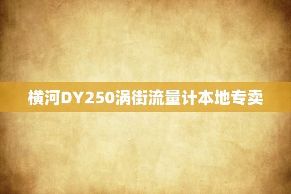横河DY250涡街流量计本地专卖