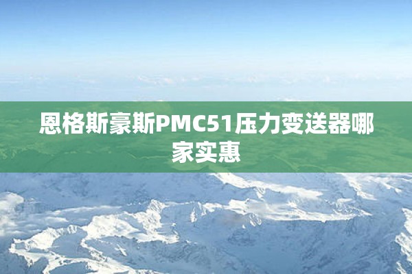 恩格斯豪斯PMC51压力变送器哪家实惠