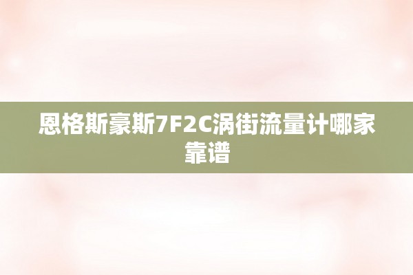 恩格斯豪斯7F2C涡街流量计哪家靠谱
