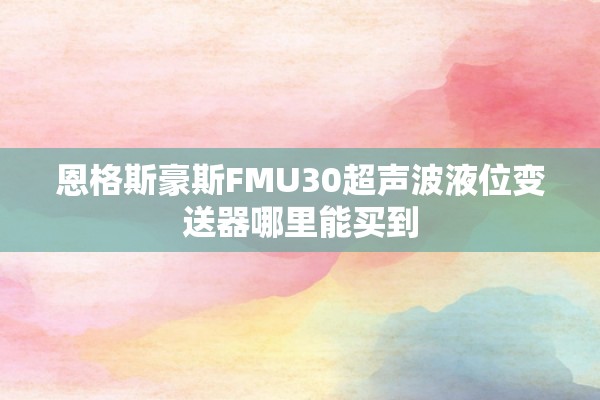 恩格斯豪斯FMU30超声波液位变送器哪里能买到