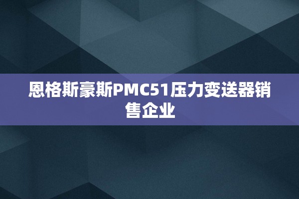恩格斯豪斯PMC51压力变送器销售企业