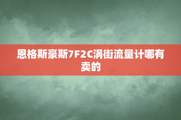 恩格斯豪斯7F2C涡街流量计哪有卖的