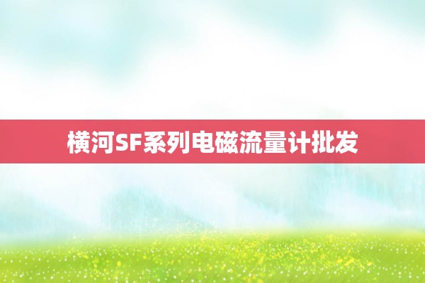 横河SF系列电磁流量计批发