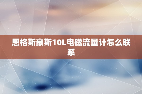 恩格斯豪斯10L电磁流量计怎么联系
