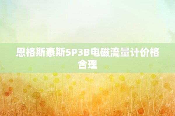 恩格斯豪斯5P3B电磁流量计价格合理