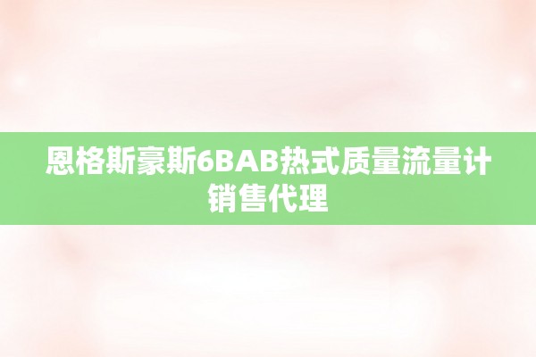 恩格斯豪斯6BAB热式质量流量计销售代理
