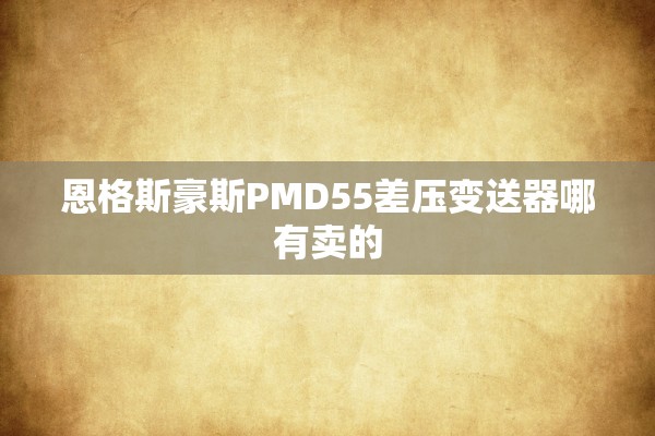 恩格斯豪斯PMD55差压变送器哪有卖的