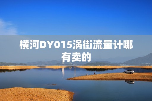 横河DY015涡街流量计哪有卖的
