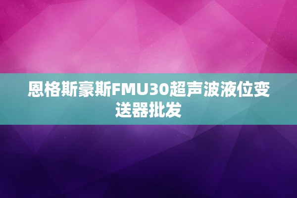 恩格斯豪斯FMU30超声波液位变送器批发