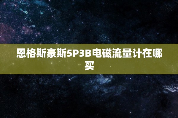 恩格斯豪斯5P3B电磁流量计在哪买