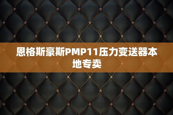 恩格斯豪斯PMP11压力变送器本地专卖