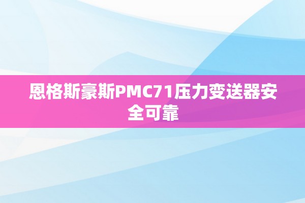 恩格斯豪斯PMC71压力变送器安全可靠