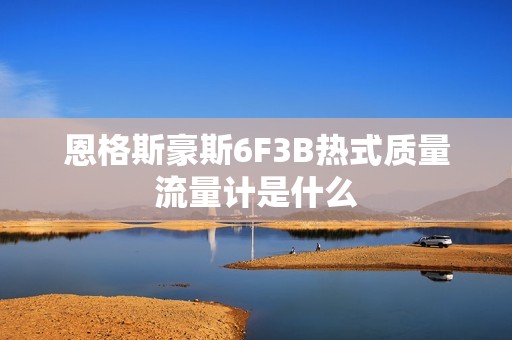 恩格斯豪斯6F3B热式质量流量计是什么