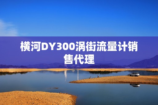 横河DY300涡街流量计销售代理
