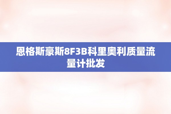 恩格斯豪斯8F3B科里奥利质量流量计批发