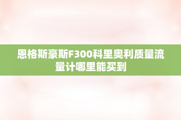 恩格斯豪斯F300科里奥利质量流量计哪里能买到