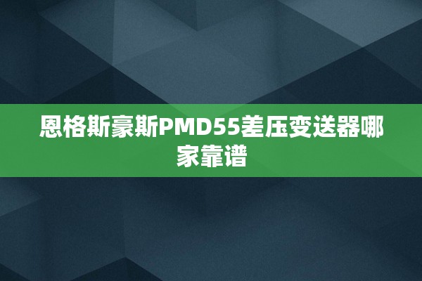 恩格斯豪斯PMD55差压变送器哪家靠谱