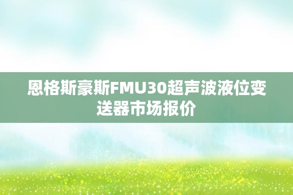 恩格斯豪斯FMU30超声波液位变送器市场报价