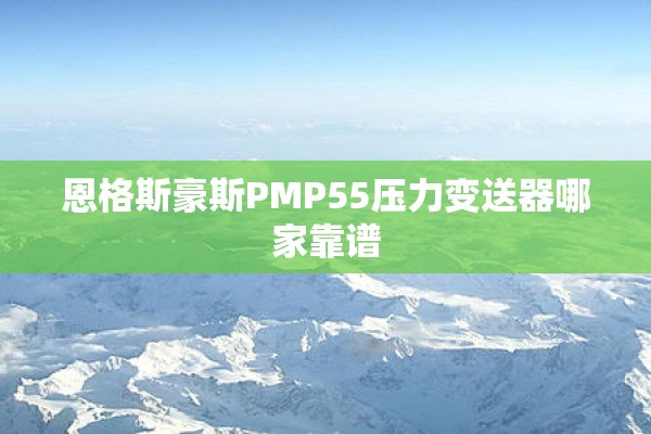恩格斯豪斯PMP55压力变送器哪家靠谱