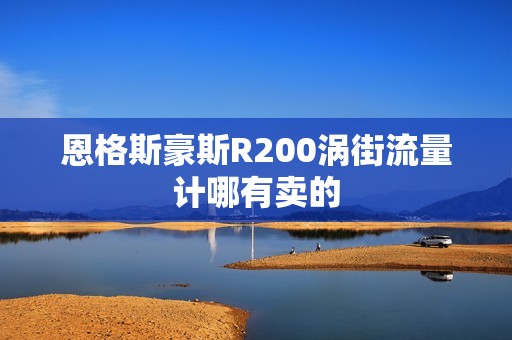 恩格斯豪斯R200涡街流量计哪有卖的