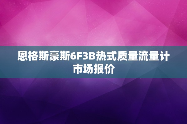 恩格斯豪斯6F3B热式质量流量计市场报价