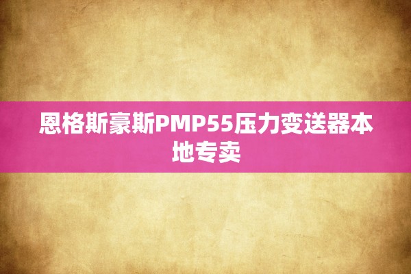 恩格斯豪斯PMP55压力变送器本地专卖