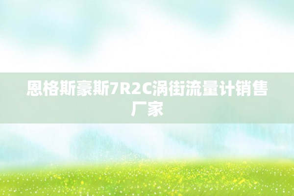 恩格斯豪斯7R2C涡街流量计销售厂家