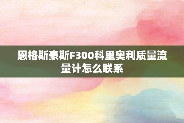 恩格斯豪斯F300科里奥利质量流量计怎么联系