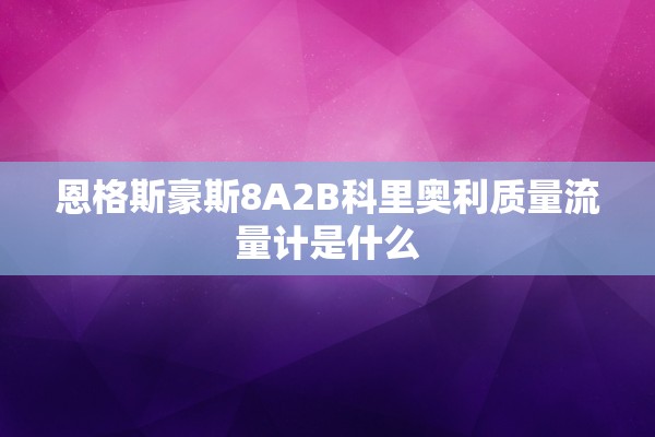 恩格斯豪斯8A2B科里奥利质量流量计是什么