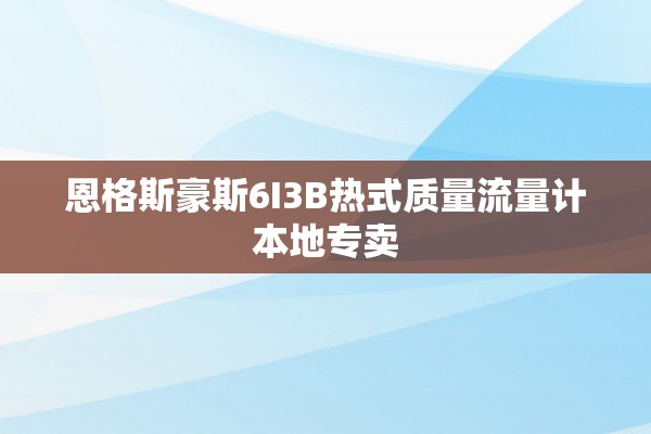 恩格斯豪斯6I3B热式质量流量计本地专卖