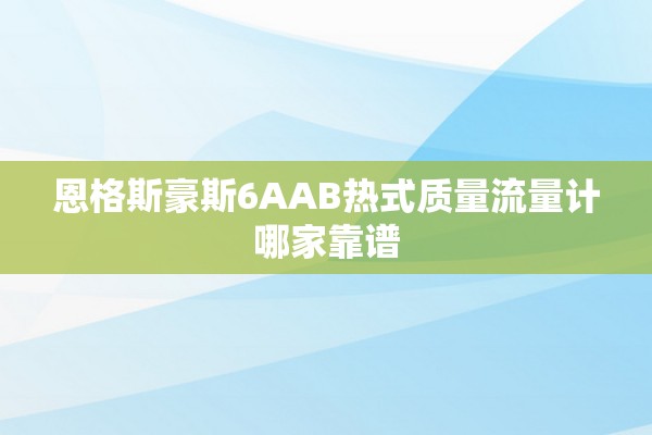 恩格斯豪斯6AAB热式质量流量计哪家靠谱