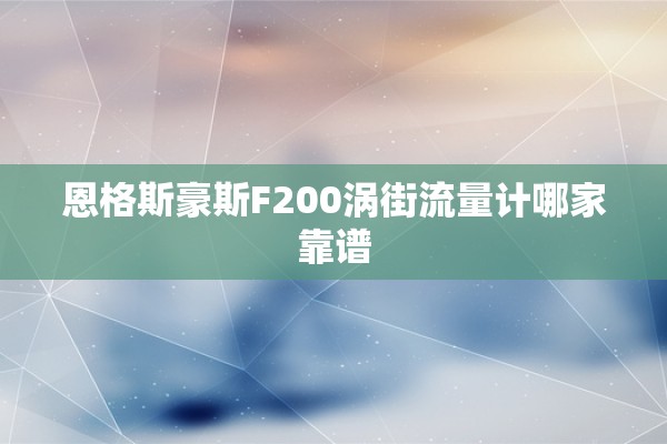 恩格斯豪斯F200涡街流量计哪家靠谱