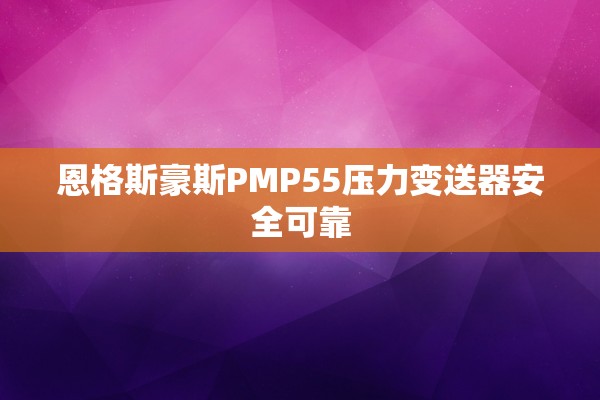 恩格斯豪斯PMP55压力变送器安全可靠