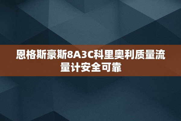 恩格斯豪斯8A3C科里奥利质量流量计安全可靠