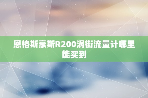 恩格斯豪斯R200涡街流量计哪里能买到