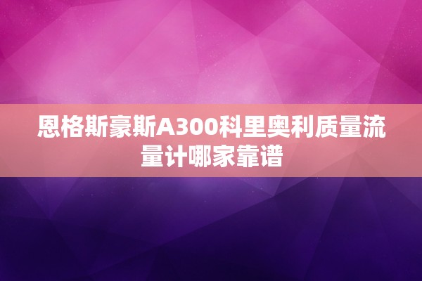 恩格斯豪斯A300科里奥利质量流量计哪家靠谱