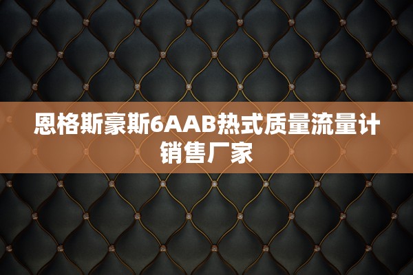 恩格斯豪斯6AAB热式质量流量计销售厂家