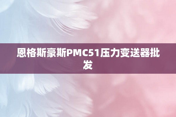 恩格斯豪斯PMC51压力变送器批发