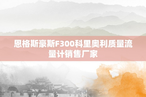恩格斯豪斯F300科里奥利质量流量计销售厂家
