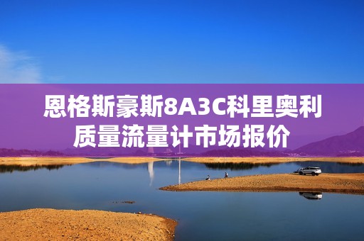 恩格斯豪斯8A3C科里奥利质量流量计市场报价
