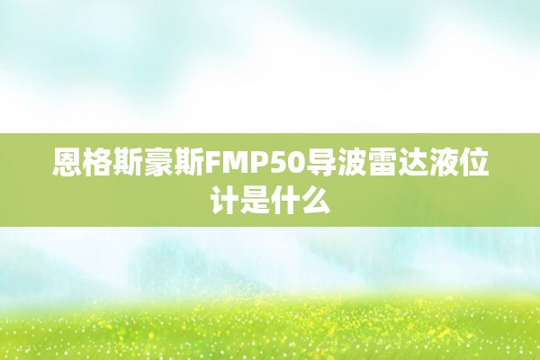 恩格斯豪斯FMP50导波雷达液位计是什么
